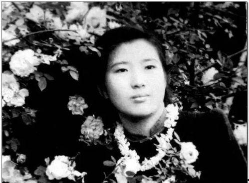 娱乐圈摆烂吃瓜郁可可,娱乐圈摆烂吃瓜,揭秘明星幕后生活