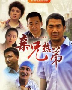 亲兄热弟在线观看,兄弟情深，共度人生风雨