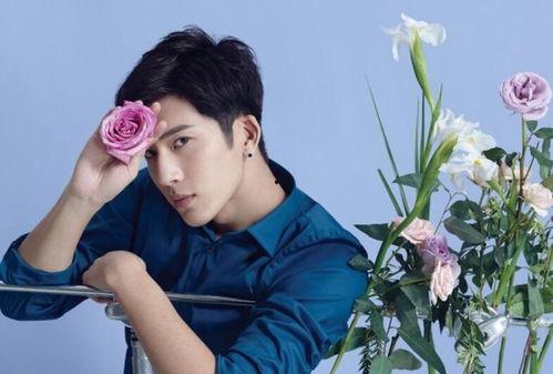 井柏然付辛博圈内人爆料,揭秘娱乐圈背后的真实故事