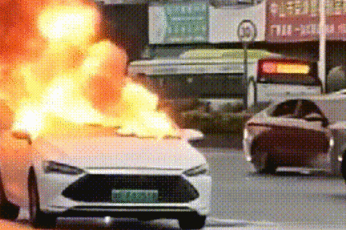 爆料海豚自燃视频播放,真相究竟如何？