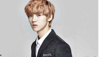 韩国爆料鹿晗事件视频,真相揭秘，网友热议