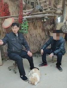 大衣哥亲家爆料视频大全,揭秘大衣哥背后的故事与真相