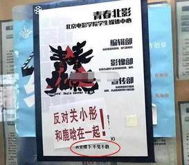 北电校友爆料视频大全,揭秘娱乐圈幕后故事