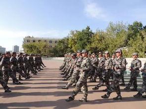 军训综艺爆料视频下载网站,独家爆料视频网站大揭秘