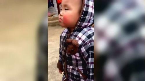 小鱼仙馆爆料视频大全集,揭秘仙界秘闻，探寻神秘传说