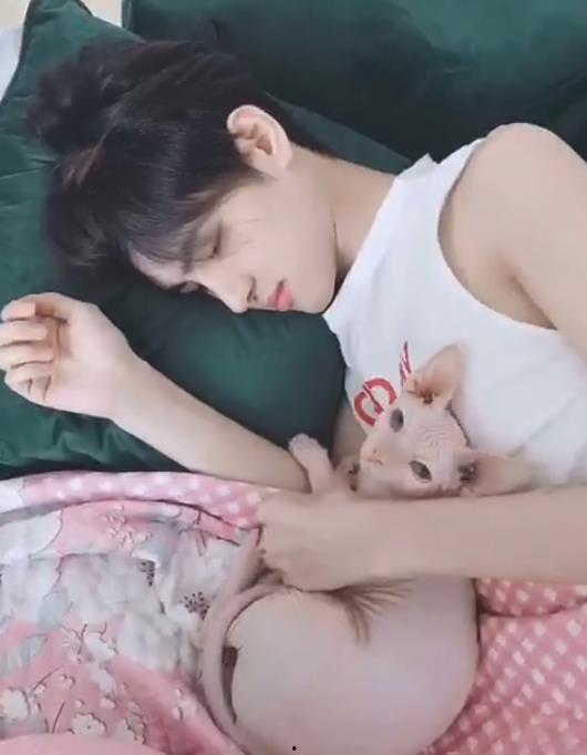 小猪先生前女友爆料视频,揭秘昔日恋情内幕