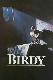 鸟人 凯奇 在线观看,在线观影，探索喜剧大师的奇幻世界