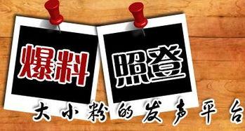 当地新闻怎样爆料,市民积极爆料，揭露当地问题引发关注