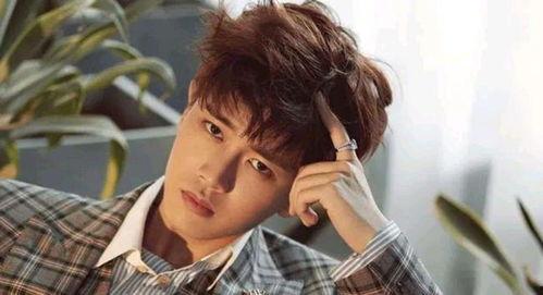 任嘉伦近期八卦爆料视频,揭秘明星背后的真实生活