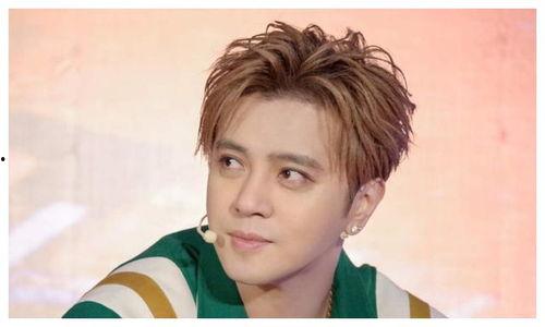 罗志祥娱乐圈吃瓜,揭秘明星背后的真相与争议