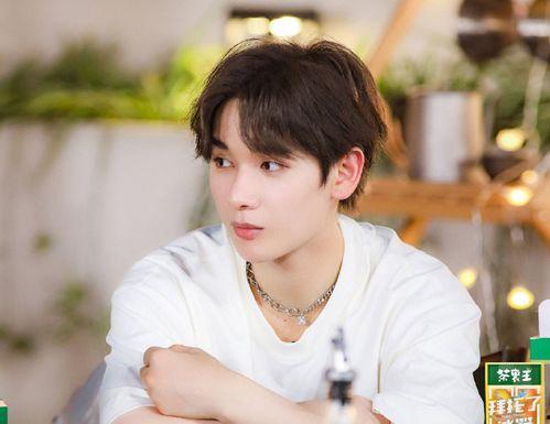 娱乐圈吃瓜龚俊是谁啊,从默默无闻到星光熠熠