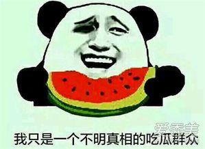娱乐吃瓜团