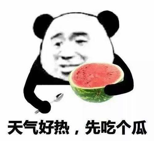 吃瓜网免费官网 僻帝,僻帝带你畅游娱乐资讯海洋