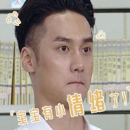 吃瓜群众爱娱乐,揭秘明星幕后故事，吃瓜群众狂欢盛宴