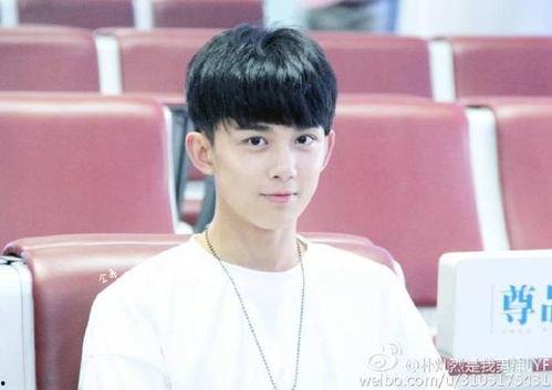 娱乐吃瓜猫吴磊,娱乐吃瓜界的“猫王”