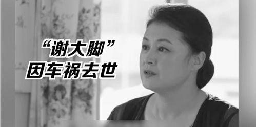 吃娱乐圈的瓜博主