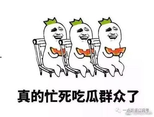 吃瓜群众的英文,Insights from the Asides of the Onlookers: A Glimpse into the Public's Perspective
